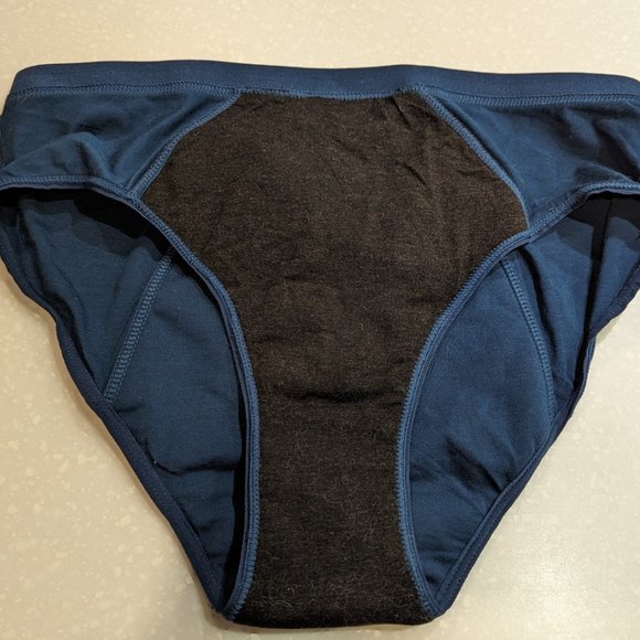 Super Leakproof Cotton Modal Underwear Full Gusset Bikini (KT by Knix) Size L - Picture 2 of 5